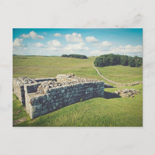 Carte Postale Le mur d'Hadrien (Devant)