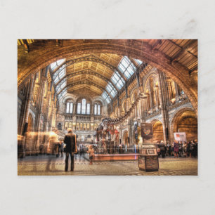 Carte Postale Le Natural History Museum, Londres