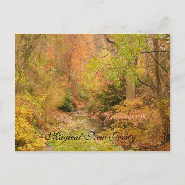 Carte Postale Le New Jersey à l'automne (Devant)