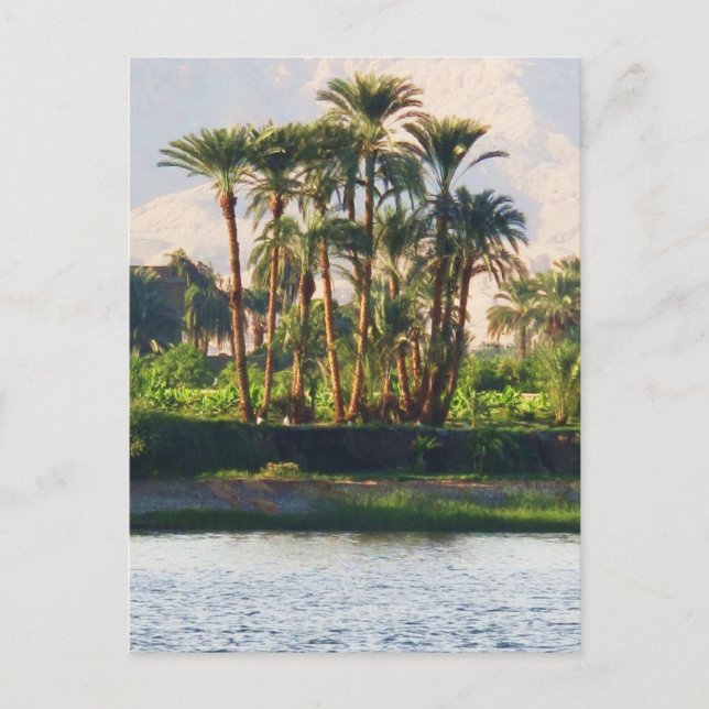 Carte Postale Le Nil en Egypte, Louxor (Devant)