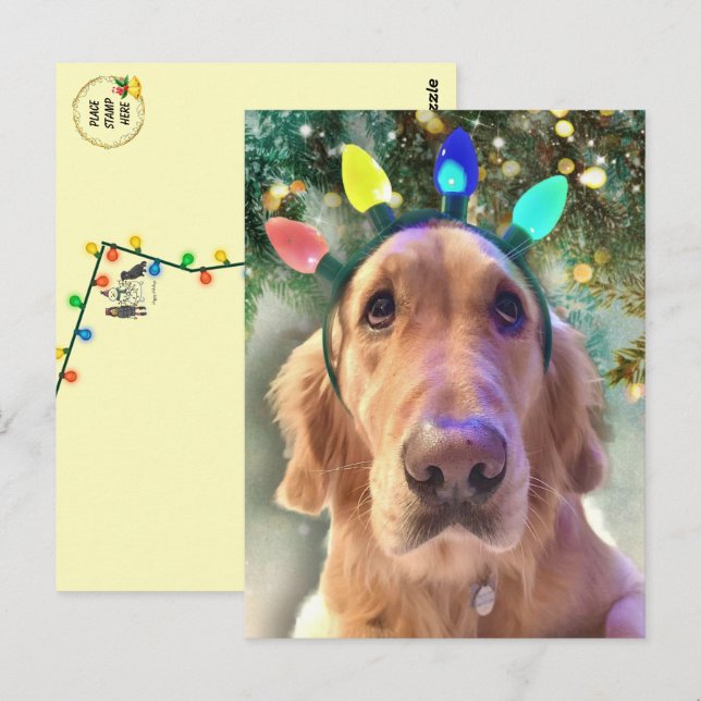 Carte Postale Le Noël du Golden Retriever de Nova (Devant / Derrière)