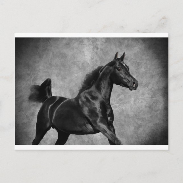 Carte Postale Le noir (Devant)