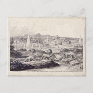 Carte Postale Le Palais de Cristal