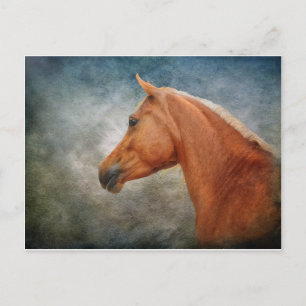 Carte Postale Le Palomino