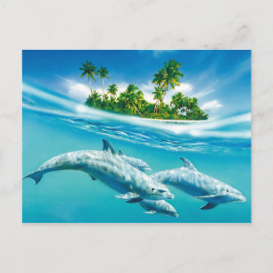 Carte Postale Le paradis des dauphins