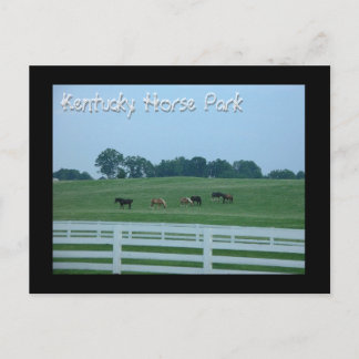 Carte Postale Le parc équestre du Kentucky