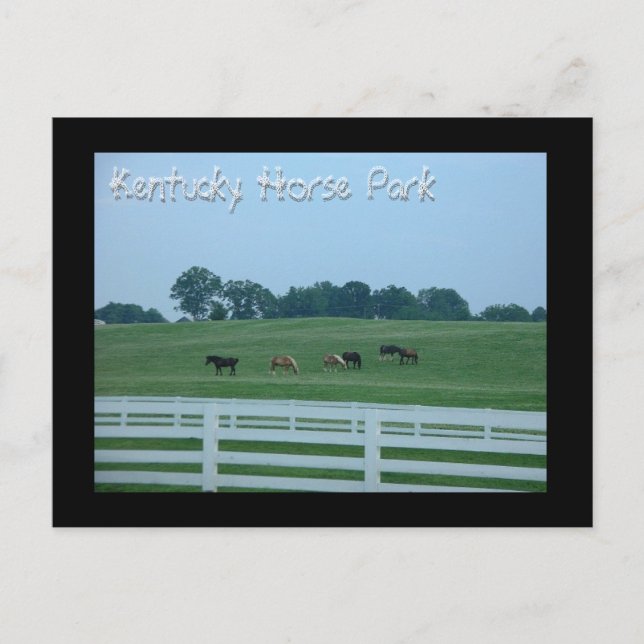 Carte Postale Le parc équestre du Kentucky (Devant)