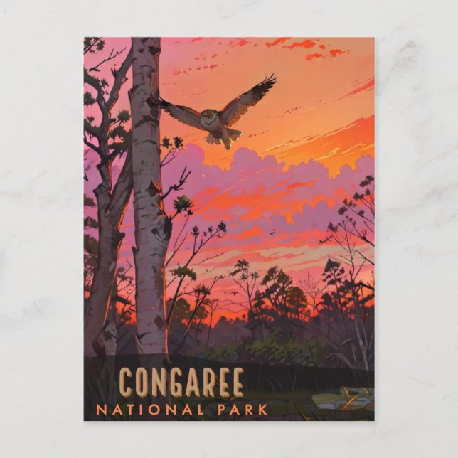 Carte Postale Le Parc national de Congaree (Devant)