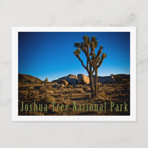 Carte Postale Le Parc national de Joshua Tree