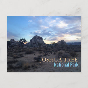 Carte Postale Le Parc national de Joshua Tree