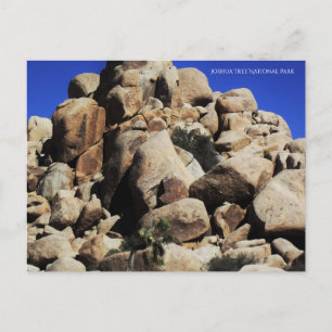 Carte Postale Le Parc national de Joshua Tree