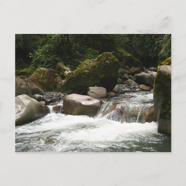 Carte Postale Le Parc national de Manu (Devant)