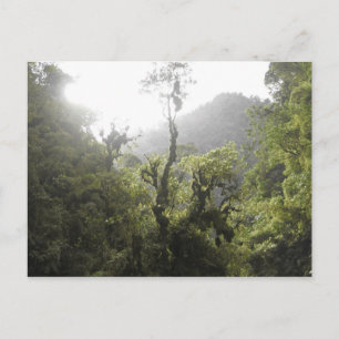 Carte Postale Le Parc national de Manu
