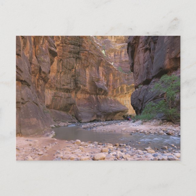 Carte Postale Le Parc national de Narrows Zion (Devant)