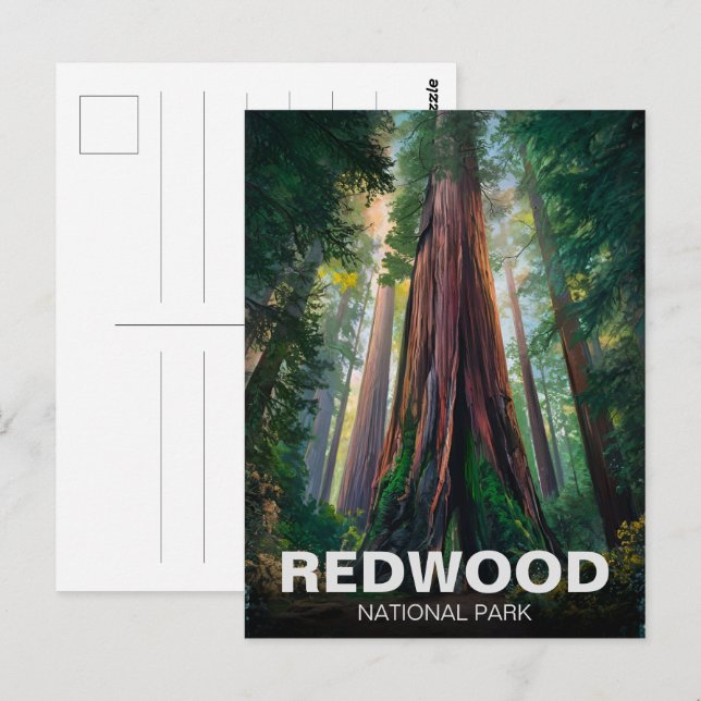 Carte Postale Le parc national de Redwood, Californie côtière (Devant / Derrière)
