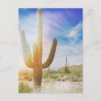 Carte Postale Le Parc national du Saguaro