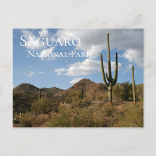 Carte Postale Le Parc national du Saguaro