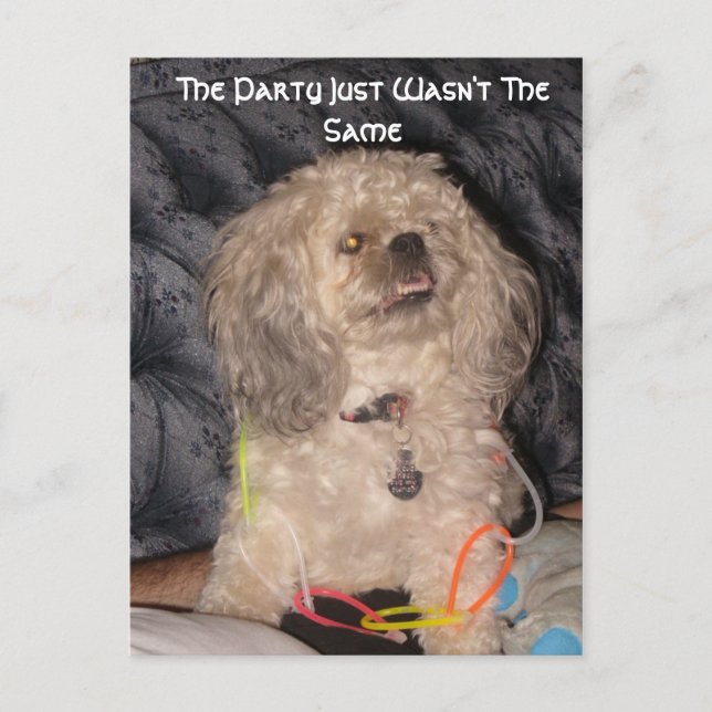 Carte Postale Le parti, le parti n'était pas pareil (Devant)