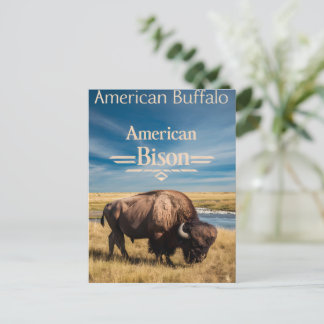 Carte Postale Le pâturage du bison au bord de la rivière
