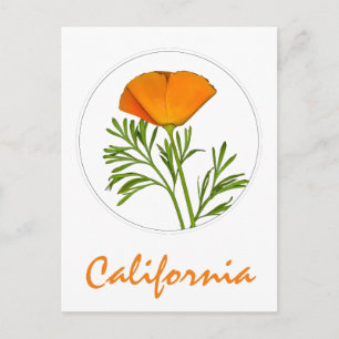 Carte Postale Le pavot de Californie dans un cercle, Texte "Cali