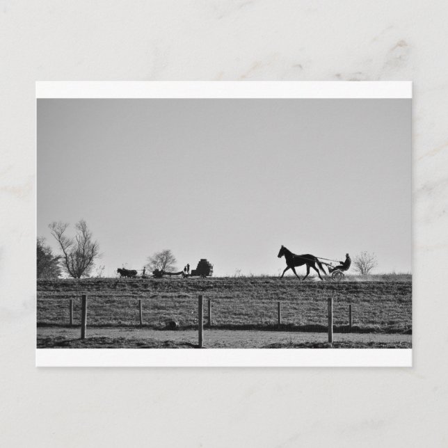Carte Postale Le pays Amish (Devant)