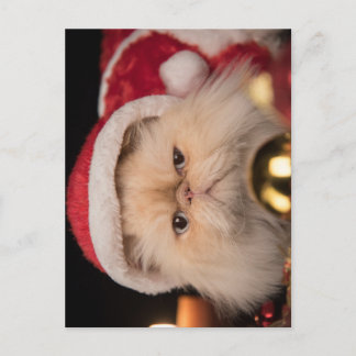 Carte Postale Le Père Noël Grumpy Cat