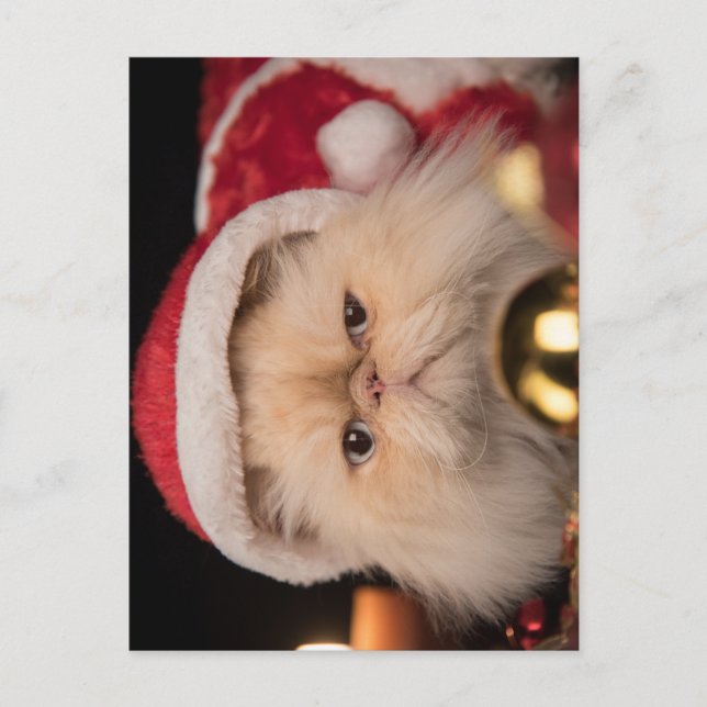 Carte Postale Le Père Noël Grumpy Cat (Devant)