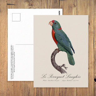 Carte Postale Le Perroquet Langlois de Jacques Barraband