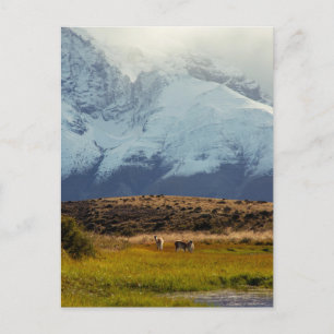 Carte Postale Le pic du Guanacos