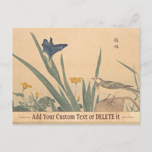 Carte Postale Le Pied Wagtai et la fleur Kuwagata Keisai ukiyo-e (Devant)