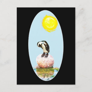 Carte Postale Le pingouin qui sieste dans le soleil