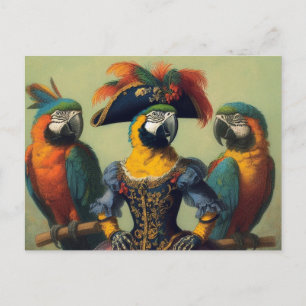 Carte Postale Le pirate des perroquets