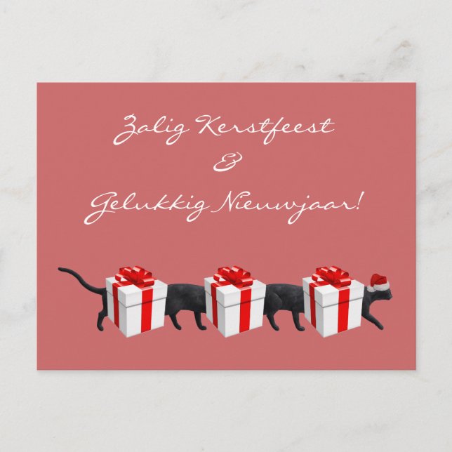 Carte Postale Le plus long chat du monde (Devant)