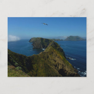 Carte Postale Le point d'inspiration d'Anacapa I dans les îles d