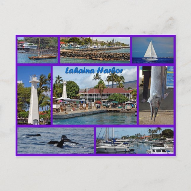 Carte Postale Le port de Lahaina (Devant)
