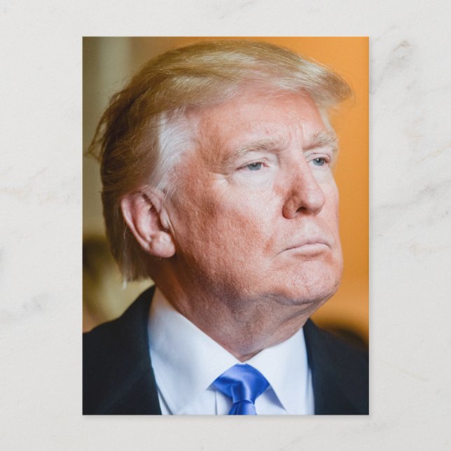 Carte Postale Le portrait de Donald Trump (Devant)