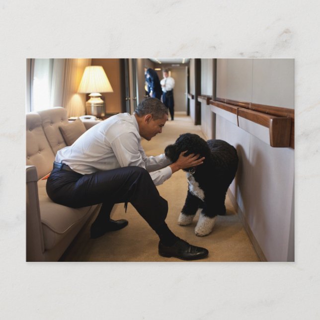 Carte Postale Le président Barack Obama avec Bo (Devant)