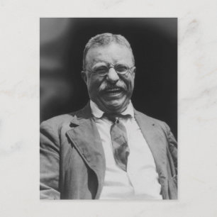 Carte Postale Le Président des États-Unis Theodore Teddy Rooseve