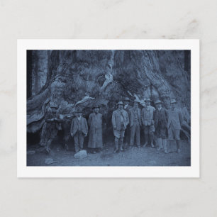 Carte Postale Le président Roosevelt et John Muir    (Cyan)