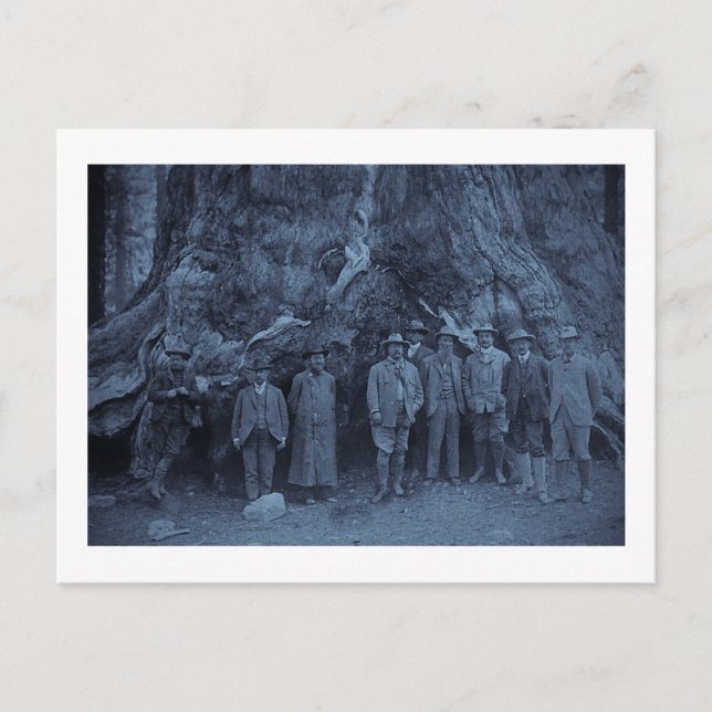 Carte Postale Le président Roosevelt et John Muir    (Cyan) (Devant)