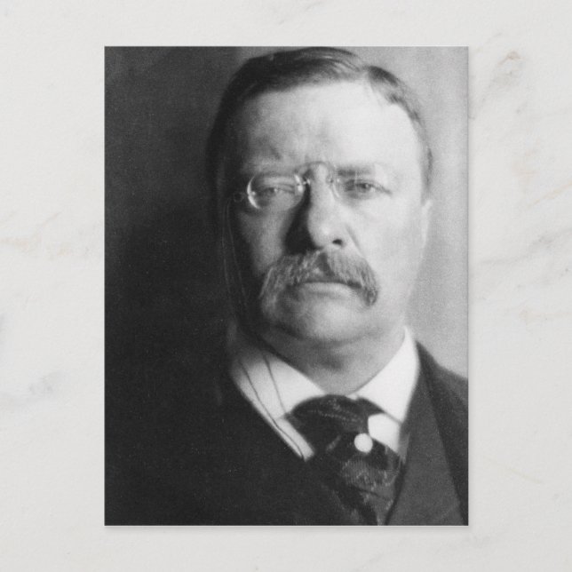 Carte Postale Le président vintage Theodore Roosevelt (Devant)