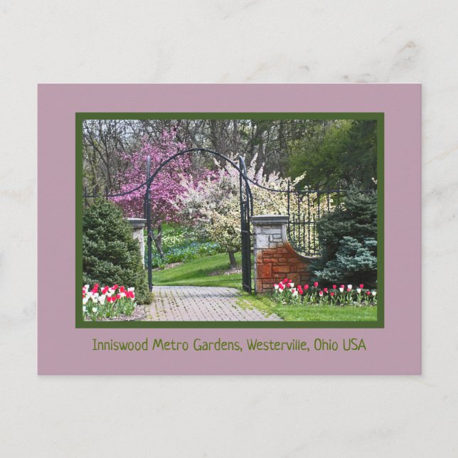 CARTE POSTALE "LE PRINTEMPS ÉCLATE À INNISWOOD" (Devant)