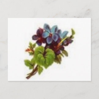 Carte Postale le printemps est proche
