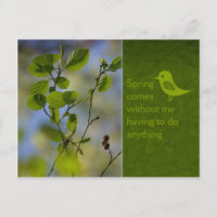 Le printemps vient de toute façon CC0836 Mots rela