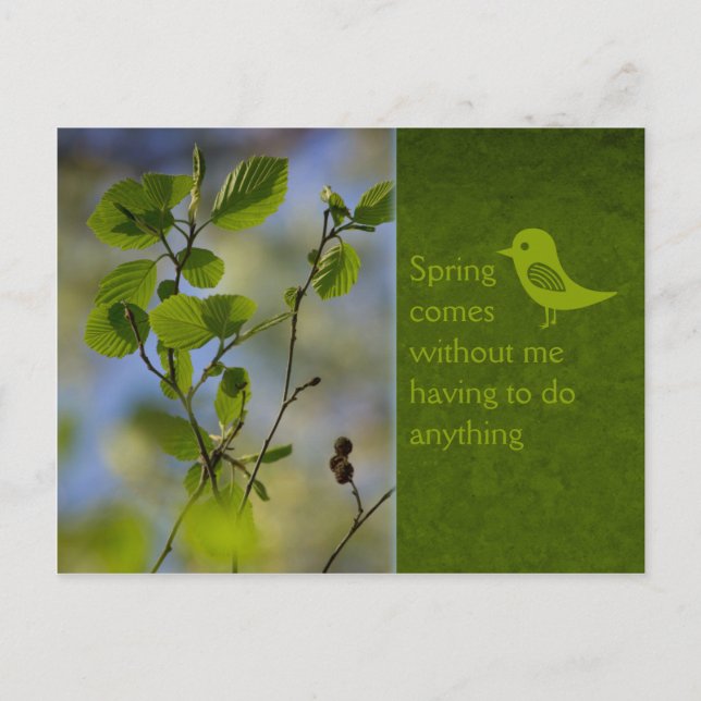 Carte Postale Le printemps vient de toute façon CC0836 Mots rela (Devant)