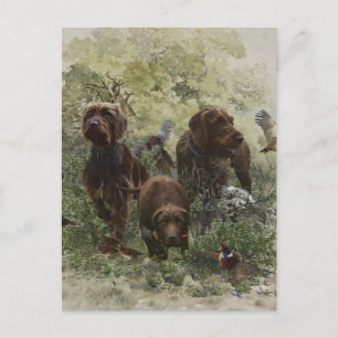 Carte Postale Le Pudelpointer