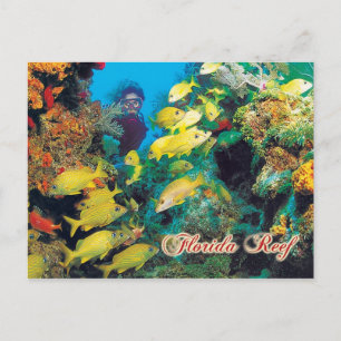 Carte Postale Le récif de Floride dans les Keys de Floride