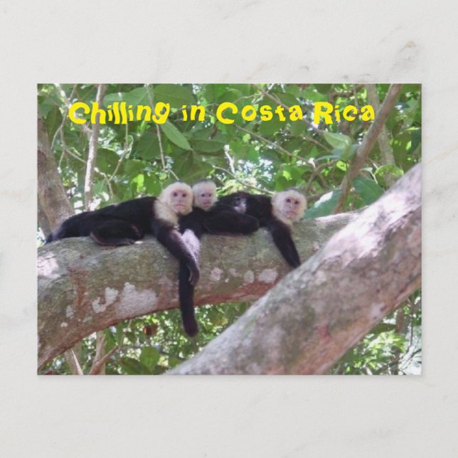 Carte Postale Le refroidissement au Costa Rica (Devant)