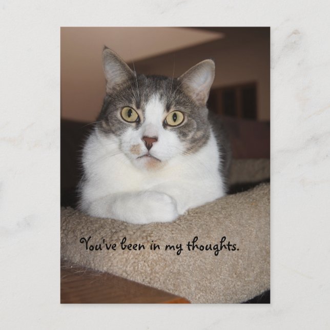 Carte Postale Le regard de Mikey (Devant)