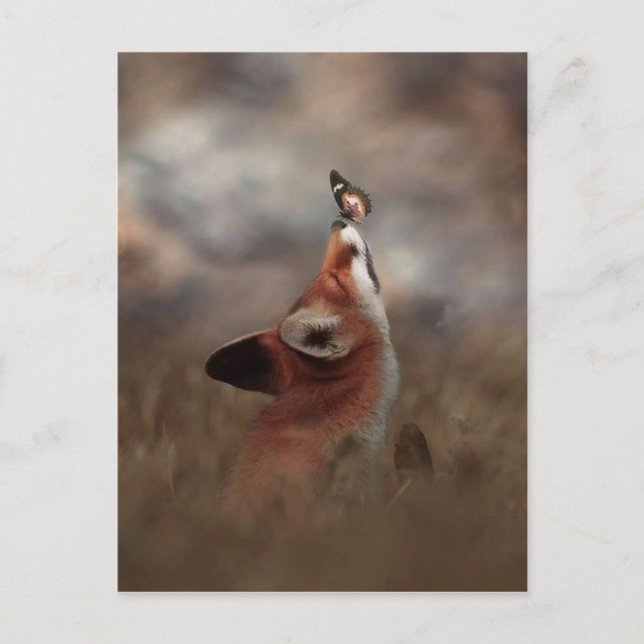 Carte Postale Le renard et le papillon (Devant)